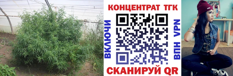 ТГК THC oil  Купить где  Орлов 