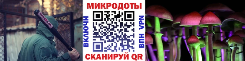 Псилоцибиновые грибы мицелий  Купить где  Орлов 